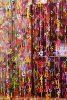 Bunch of Roses [2017] Schiraz | Iran